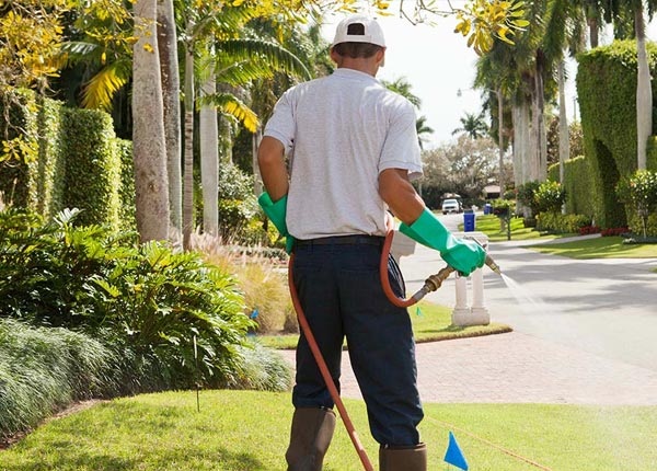 About Roslindale MA Pest Control Pros